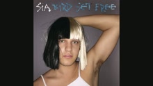 Bird Set Free (Audio)