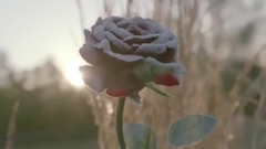 Міранда Керр красиві кампанії Marella