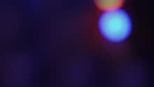 XO (Video)