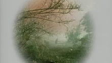Dust in the Wind (DVD Video Version)