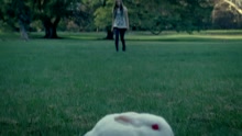 Alice (Video without Movie Footage)