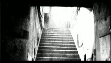 I Wanna Be Your Man (Video)