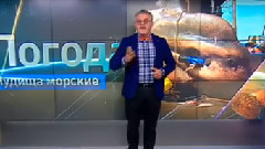 Мурманськ Матрос шокувало Facebook фото морські чудовиська