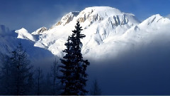 Theme From Dances With Wolves