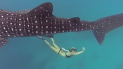 Смотрите лучшие эпические видео 2016 года снятые на камеру Гоу Про