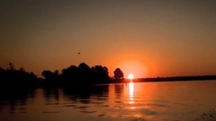 Комментарии к этому видео отключены