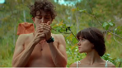 Alagoas - 1981