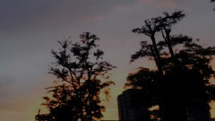 西西里舞曲 (Sicilienne)