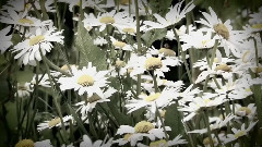 Five Variants of Dives & Lazarus