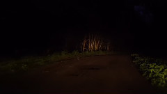 影视原声 - 双峰