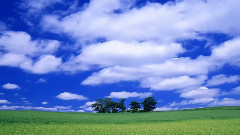 На крыльях белых журавлей авт Людмила Огнева