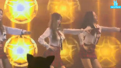 Roly Poly