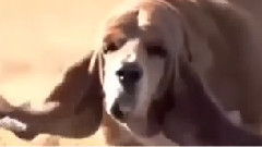 The Most Satisfying Video In The World #4 Life Awesome 2016 Oddly Satisfying Video 2016