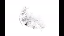 Uniform (Audio)