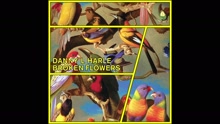 Broken Flowers (Audio)