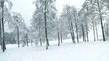 Cold Winter Love