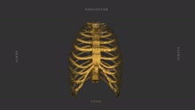 Lung (Animated Video)