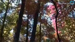 Where Are The Best Spots To See Autumn Color