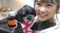 西野未姫