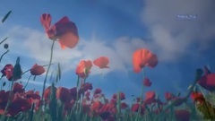 Frederic Delarue. Peace