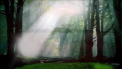 Frederic Delarue. Ray Of Light