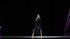 Чемпионат мира 2015 шоу