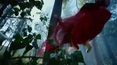 影视原声 - 卡索火燚正面交火