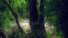 忧郁的雨 Stive Morgan