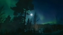 失恋鸟之歌(Song Of The Birds)