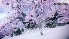 影视原声 - 幻城37 预告