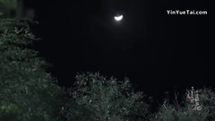 冷夜雨
