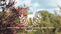 Fun. - Stay Alive