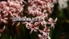 Цветы
