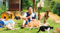 影视原声 - 《ねこあつめの家》予告