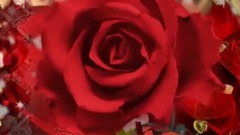 ❦САМЫЙ РОМАНТИЧНЫЙ❦ ПРАЗДНИК!❦ С ДНЕМ ВЛЮБЛЁННЫХ!❦