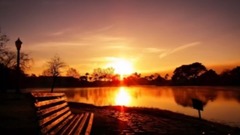 过去的时光是金色的