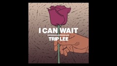 I Can Wait