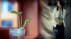 从夏天开始到夏天结束