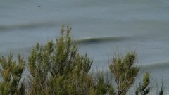 Mar De Plata