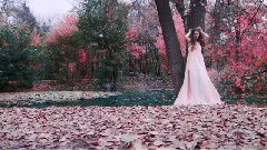 Мечты