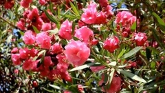 不白活一回之二