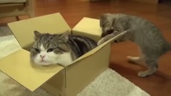 Когда оставили с младшим братом