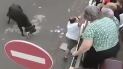 Touradas E Marradas 2010