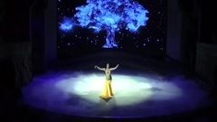 肚皮舞西域风情舞370