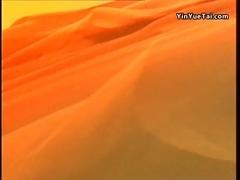 屠洪刚 - 中国功夫 官方版