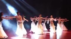 肚皮舞西域风情舞394