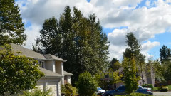 时光像烟云而去