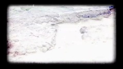徐佳莹 - 突然好想你