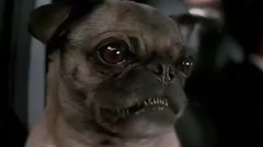 Funny Videos 2017  Funny Fail Compilation 2017 #214