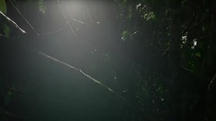 The Most Beautiful And Crazy Video